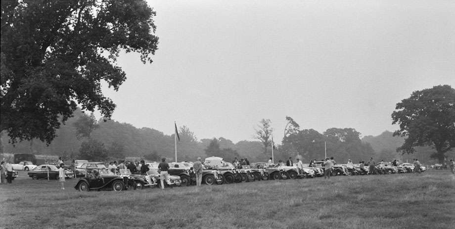 MG sportscars in a line